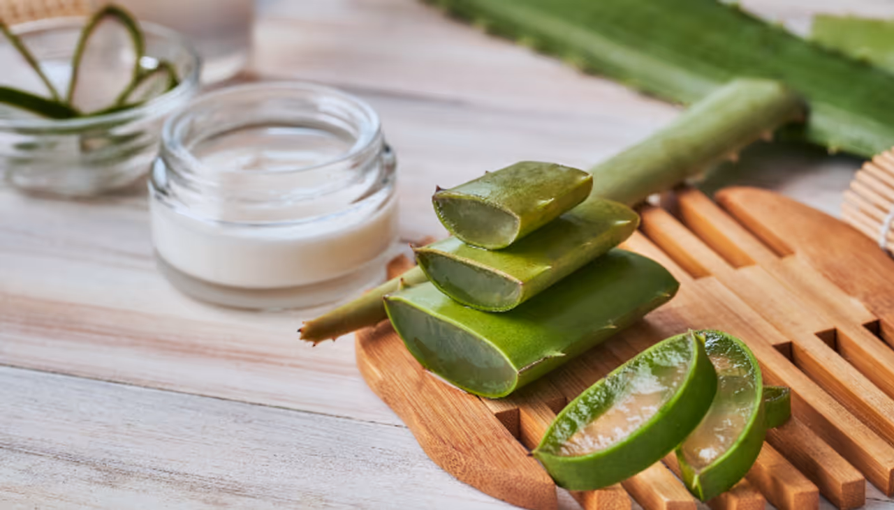 aloe vera gel aloe vera gel