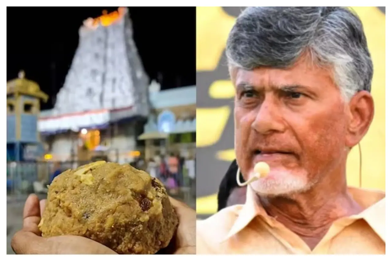 Chandrababu Naidu Chandrababu Naidu