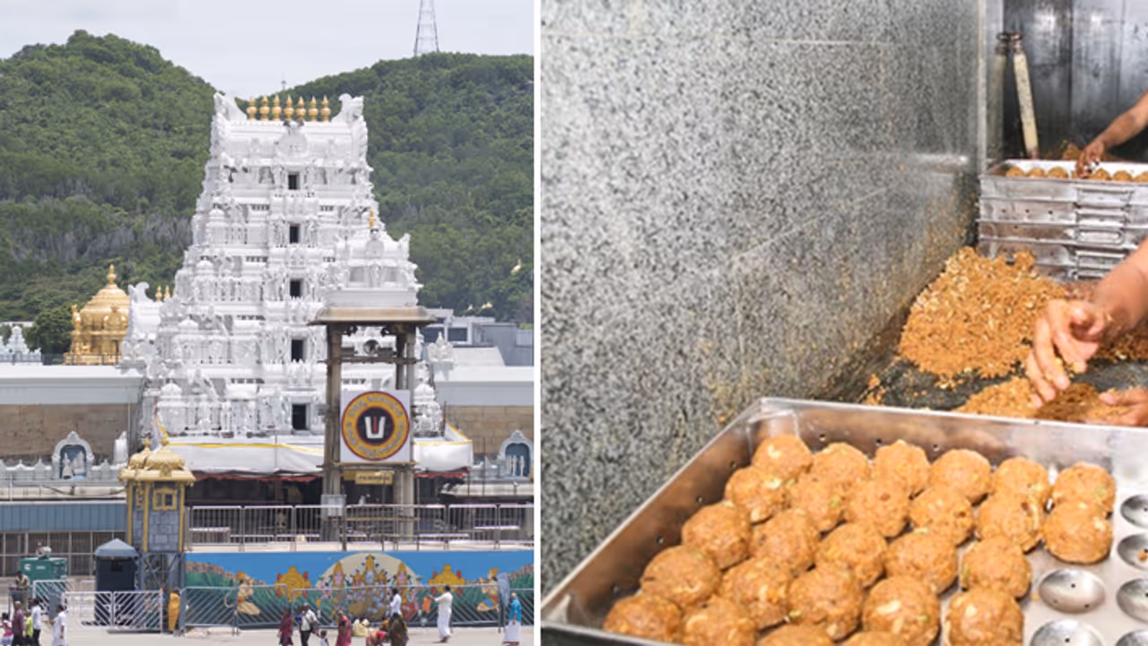 Tirupati Laddu Tirupati Laddu