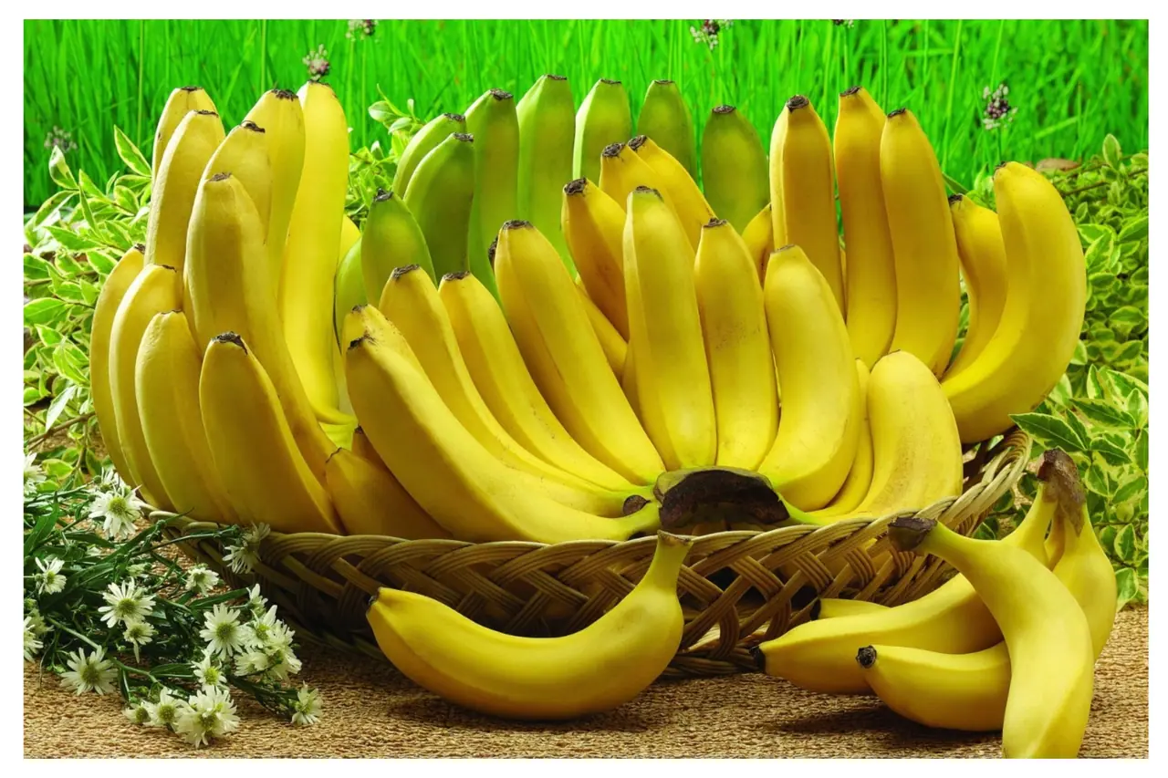 Banana Health Benefits Banana Health Benefits
