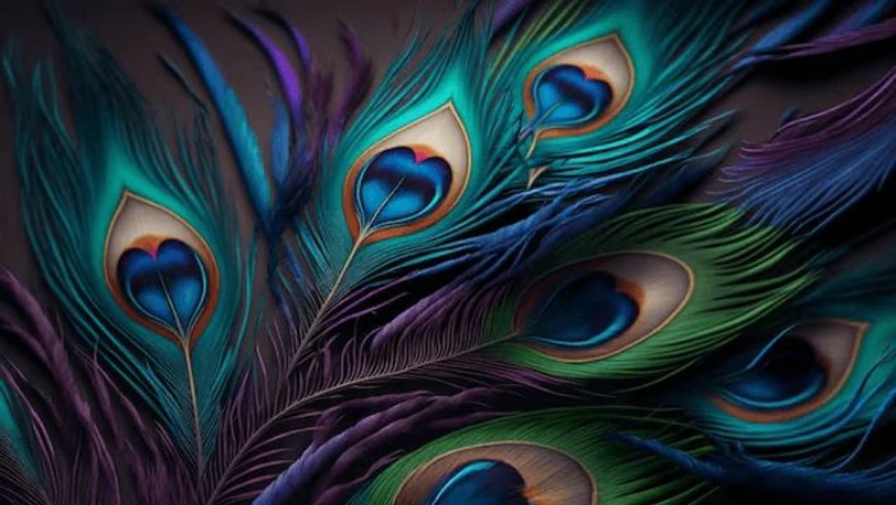 வீட்டில் 'இந்த' இடங்களில் மயில் இறகுகளை வைங்க; குடும்பம் செழிப்பாக இருக்கும்! வீட்டில் 'இந்த' இடங்களில் மயில் இறகுகளை வைங்க; குடும்பம் செழிப்பாக இருக்கும்!