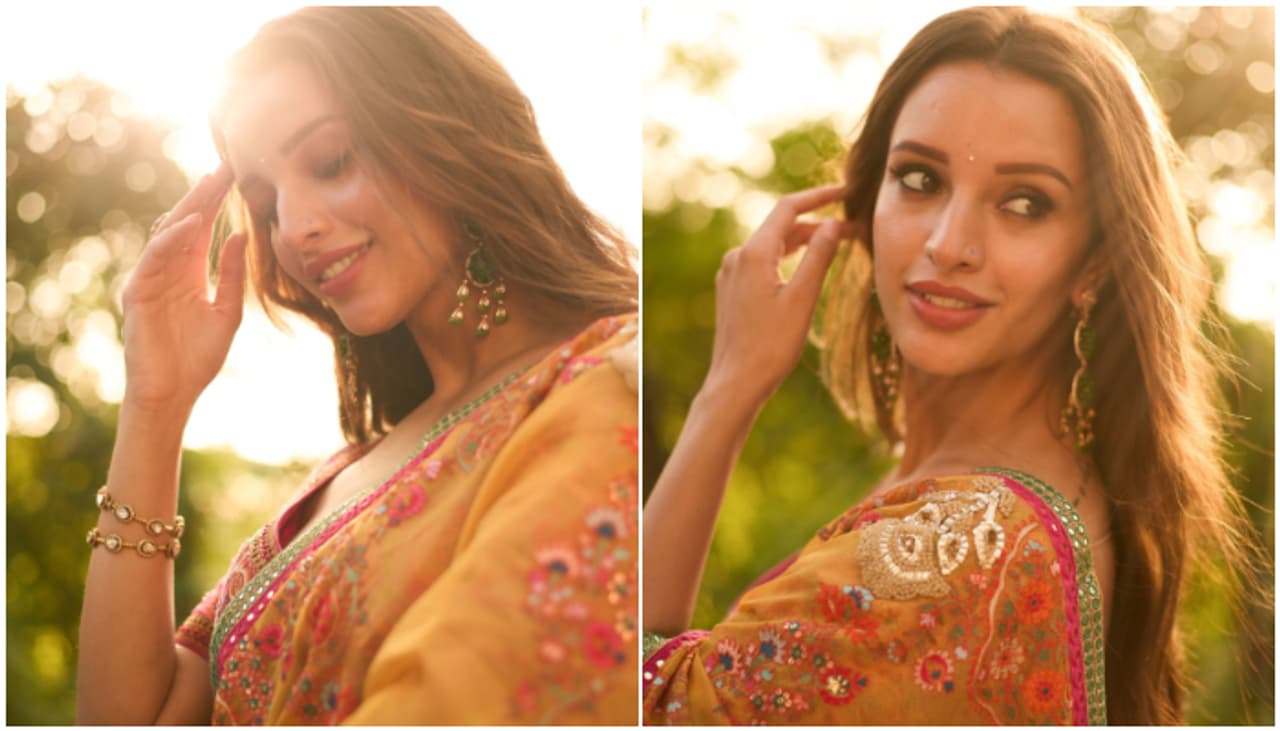 Triptii Dimri Triptii Dimri