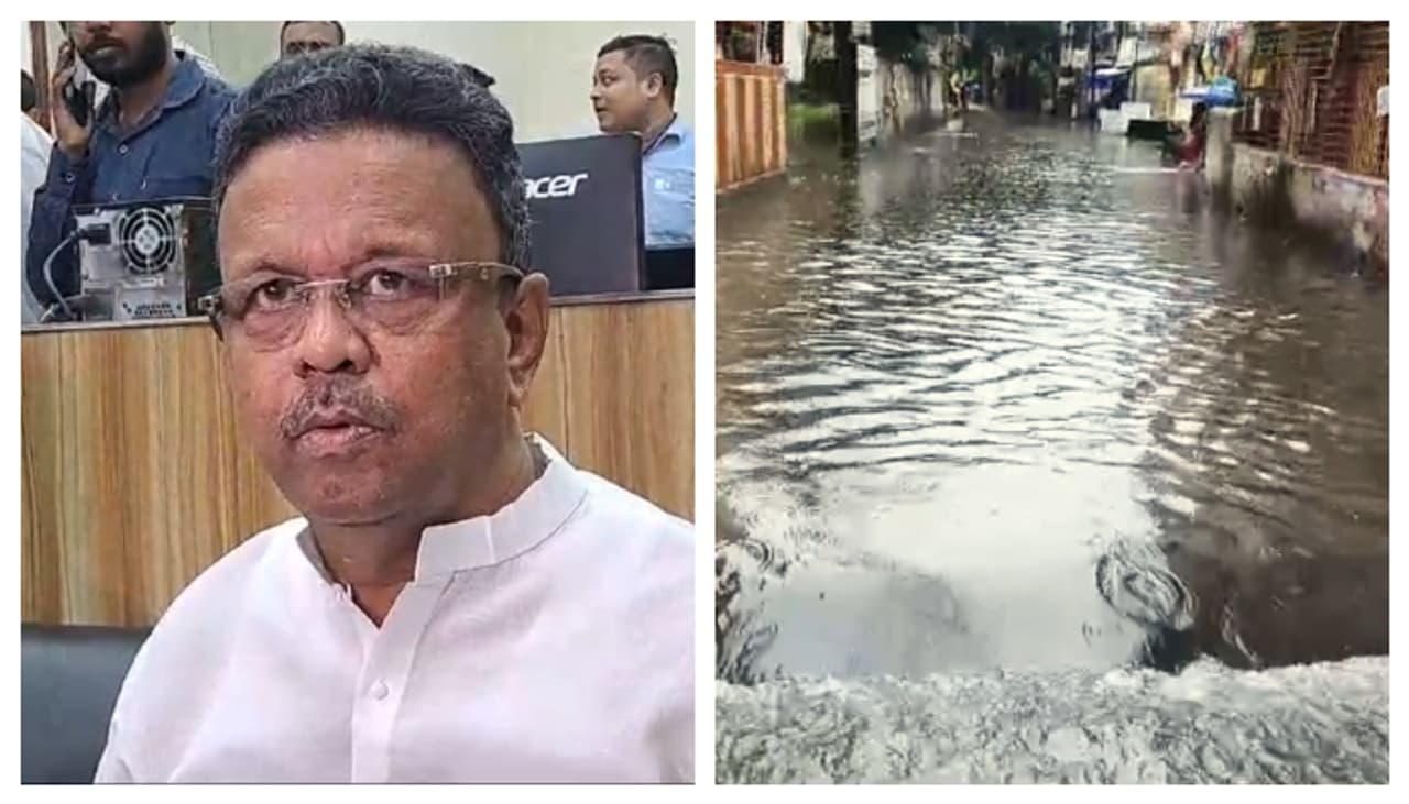 দানার প্রভাব দানার প্রভাব