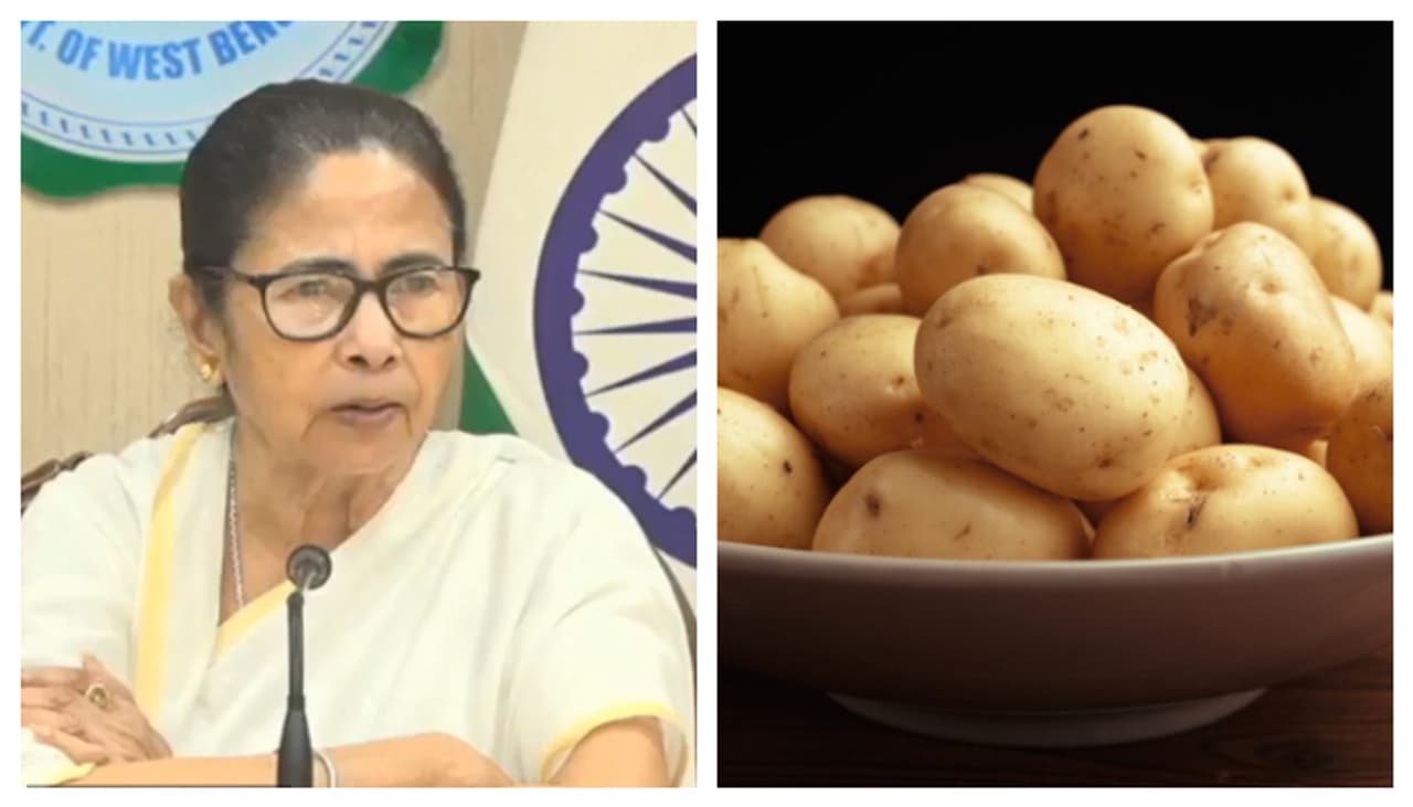 আলু কৃষকদের জন্য সুখবর আলু কৃষকদের জন্য সুখবর