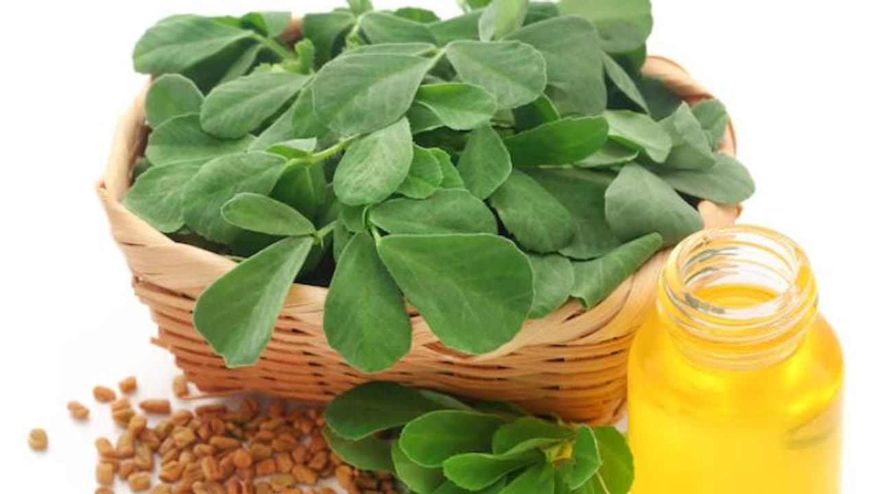 ಮೆಂತೆ ಸೊಪ್ಪು