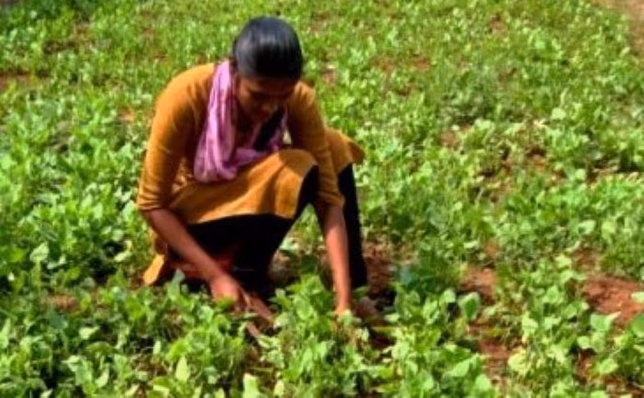 Miryalaguda Miryalaguda