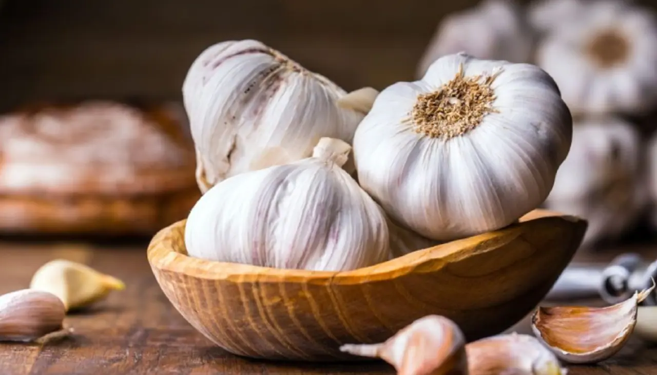 Garlic health benefits in tamil Garlic health benefits in tamil