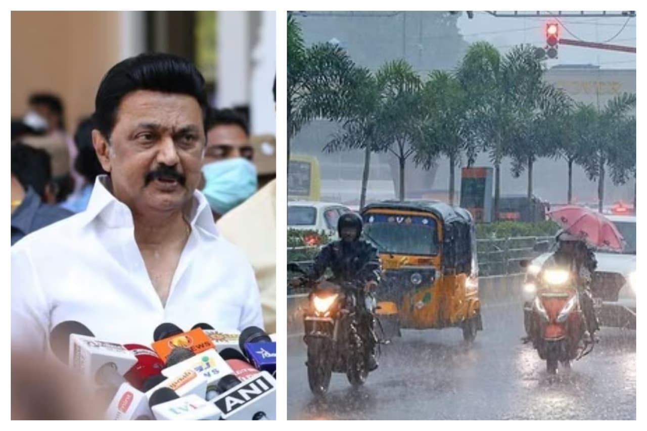 Fenjal Storm Fenjal Storm