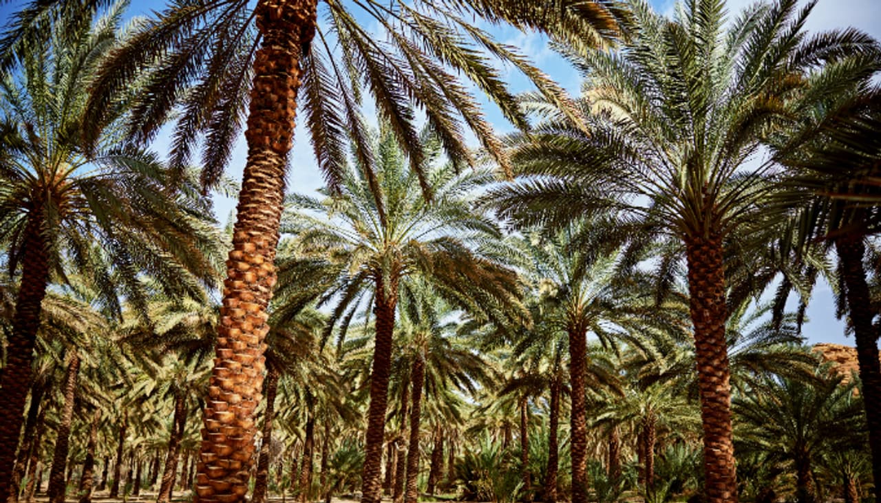 வன ஆர்வலர்களுக்கு உதவும் செயலிகள்