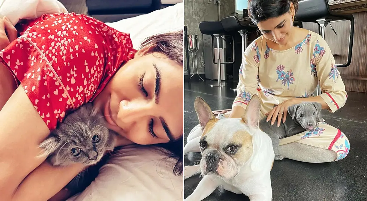 Inside Samantha Ruth Prabhu's Hyderabad Home