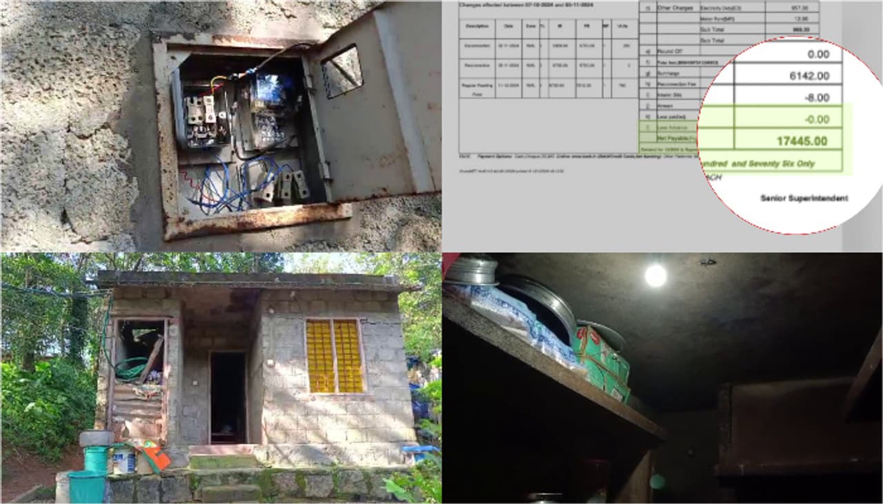 ஒரே நேரத்தில் சமைக்கவும்