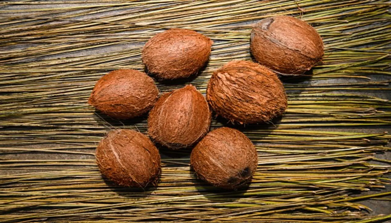 Coconut Shell Removal in Tamil Coconut Shell Removal in Tamil