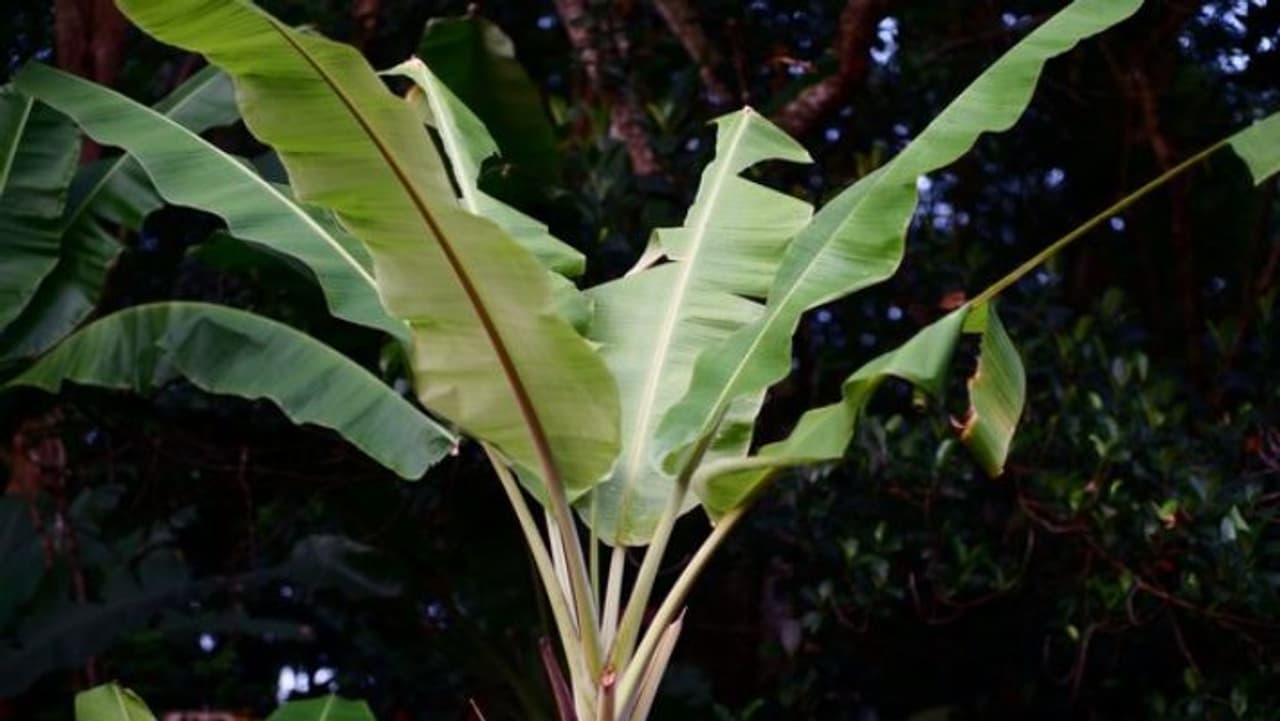 கணவன் மனைவி பிரச்சனை கணவன் மனைவி பிரச்சனை