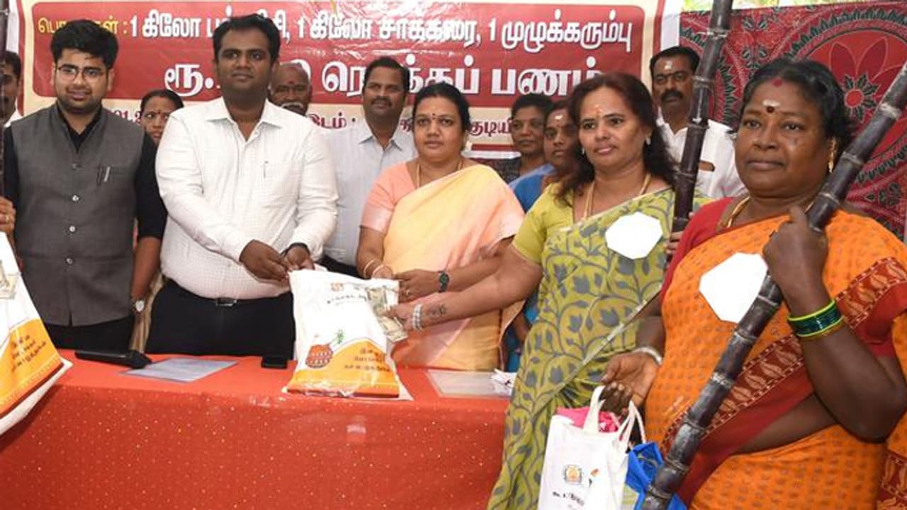 Pongal Festival Pongal Festival