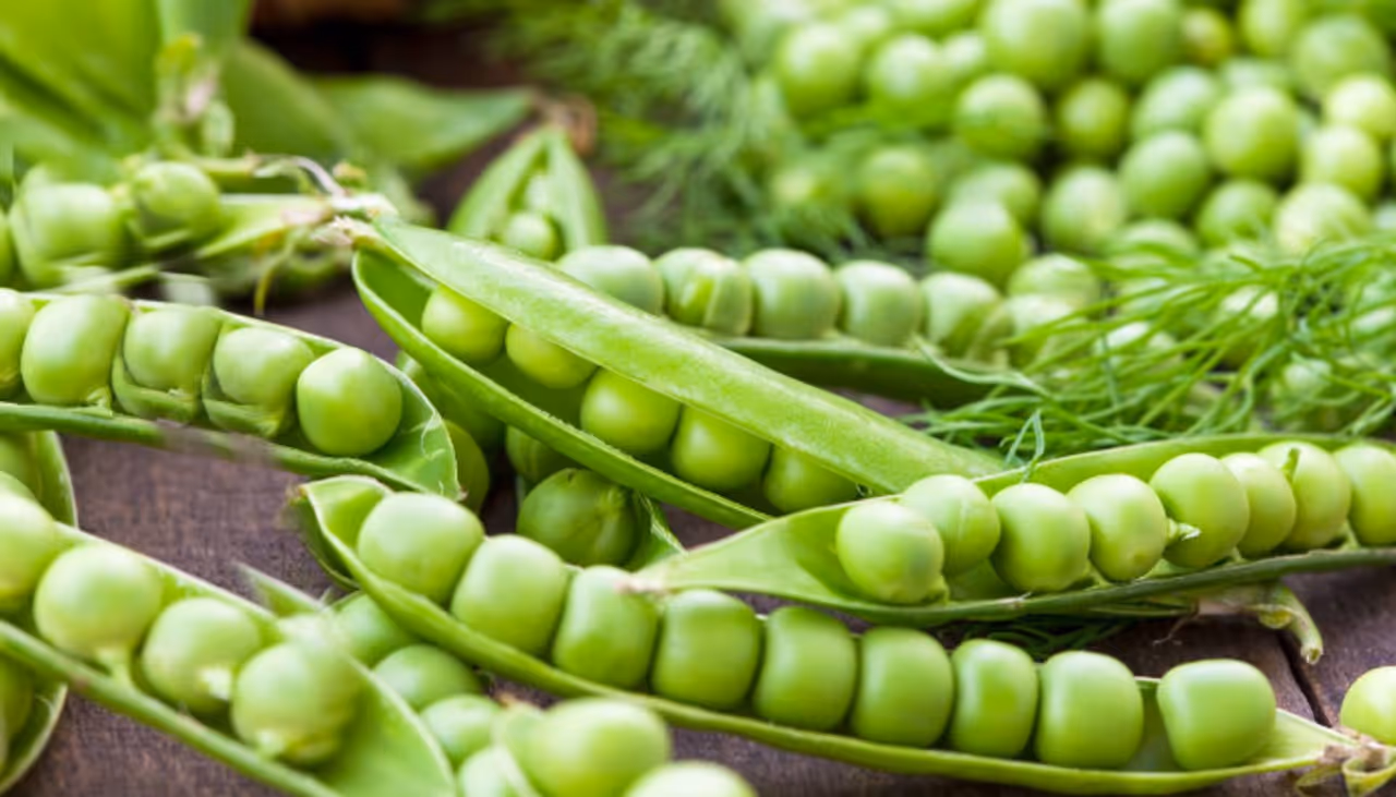 பச்சை பட்டாணியில் சத்துக்கள் நிறைய இருக்கு; ஆனா இவங்க மட்டும் சாப்பிடக்கூடாது!