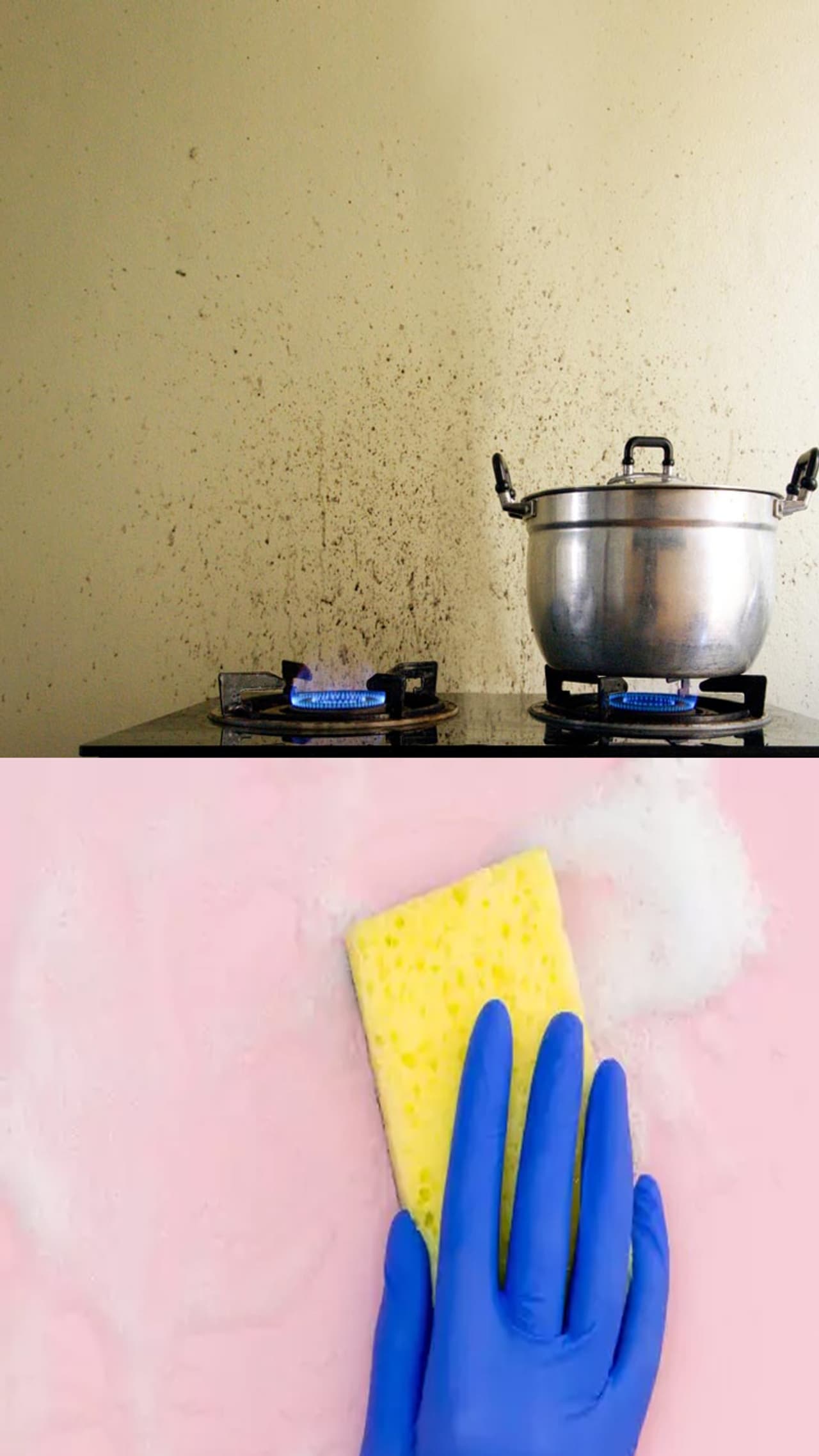 ಎಂಥದ್ದೇ ಕಲೆ ಇರಲಿ ಸುಲಭವಾಗಿ ತೆಗೆಯುತ್ತೆ ಎಂಥದ್ದೇ ಕಲೆ ಇರಲಿ ಸುಲಭವಾಗಿ ತೆಗೆಯುತ್ತೆ