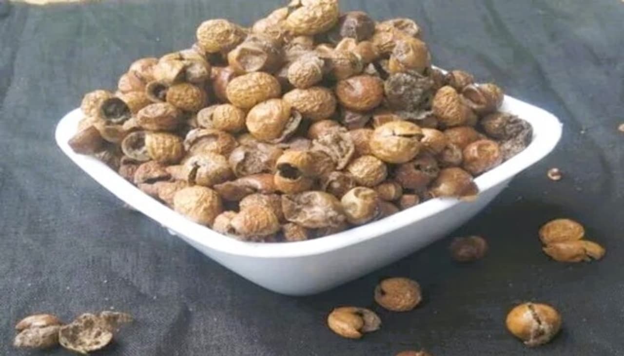 sundakkai health benefits for women in tamil sundakkai health benefits for women in tamil