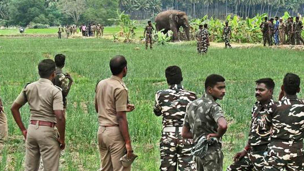 ஹேப்பி நியூஸ்! இவர்களுக்கு ரூ.3,125 ஊதிய உயர்வு! அறிவிப்பை வெளியிட்ட தமிழக அரசு! ஹேப்பி நியூஸ்! இவர்களுக்கு ரூ.3,125 ஊதிய உயர்வு! அறிவிப்பை வெளியிட்ட தமிழக அரசு!