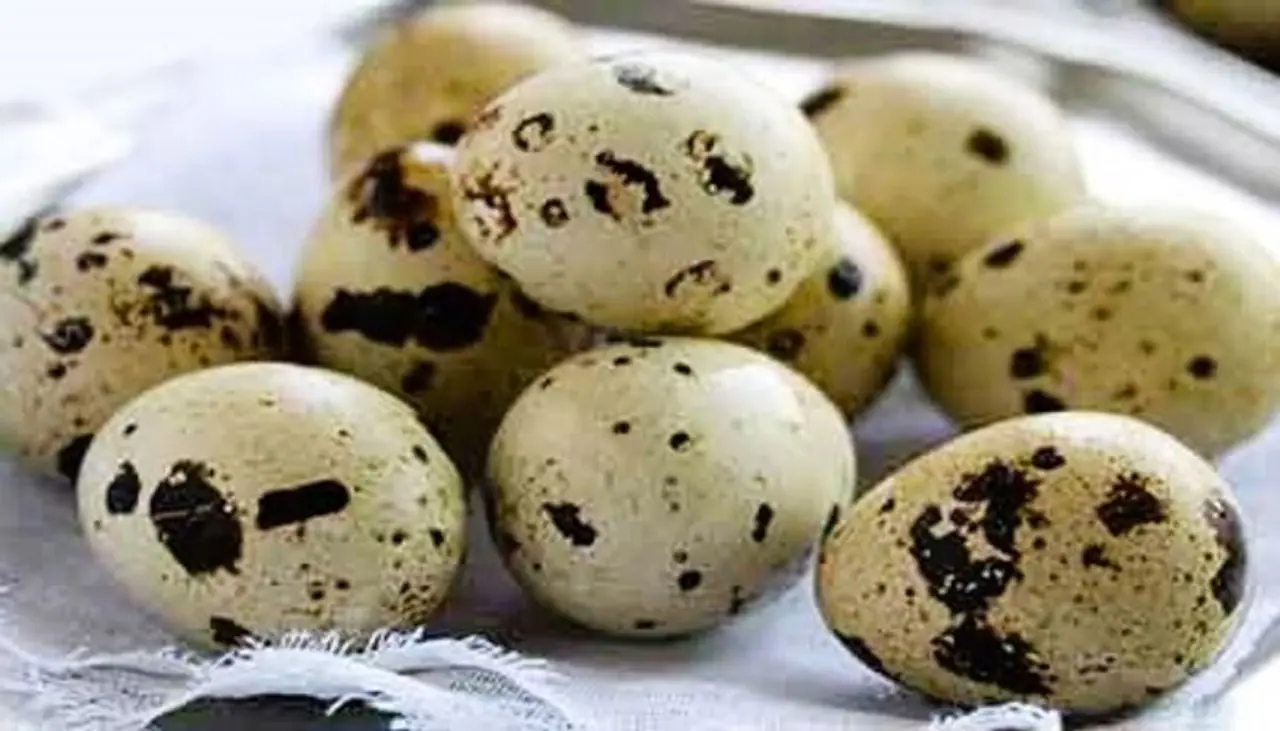 Kadai Egg Health Benefits