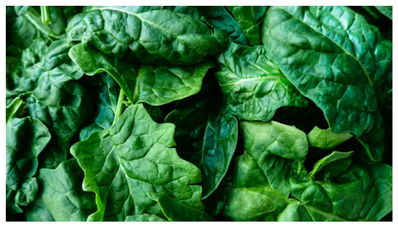 ఆకుకూరలు ఎలా నిల్వ చేయాలి?