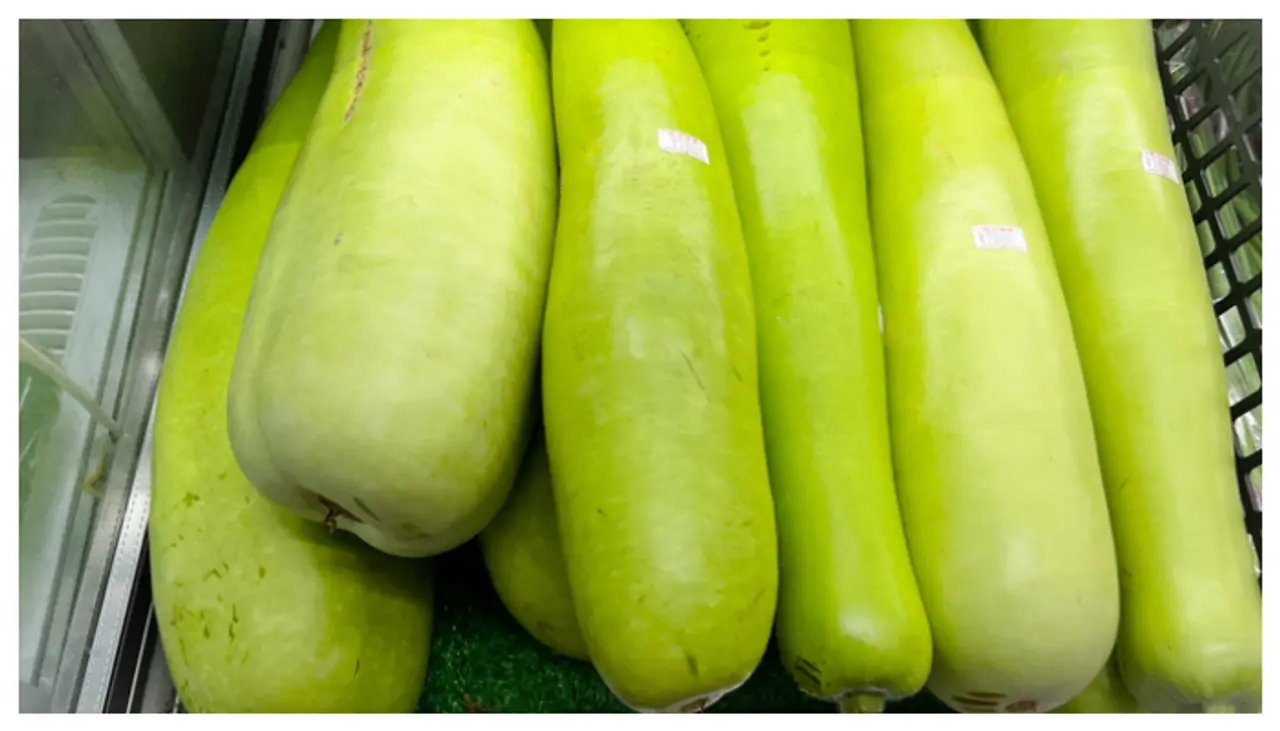 ఏ సొరకాయ తింటున్నారా?