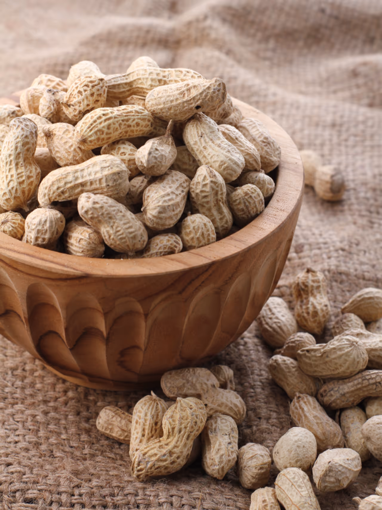 ಕಡಲೆಕಾಯಿ ತಿನ್ನುವುದರಿಂದಾಗುವ ಪ್ರಯೋಜನಗಳು ಕಡಲೆಕಾಯಿ ತಿನ್ನುವುದರಿಂದಾಗುವ ಪ್ರಯೋಜನಗಳು