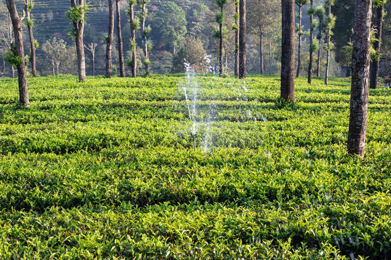 చిత్ర కృతజ్ఞతలు: Getty స్టాక్ ఫోటో