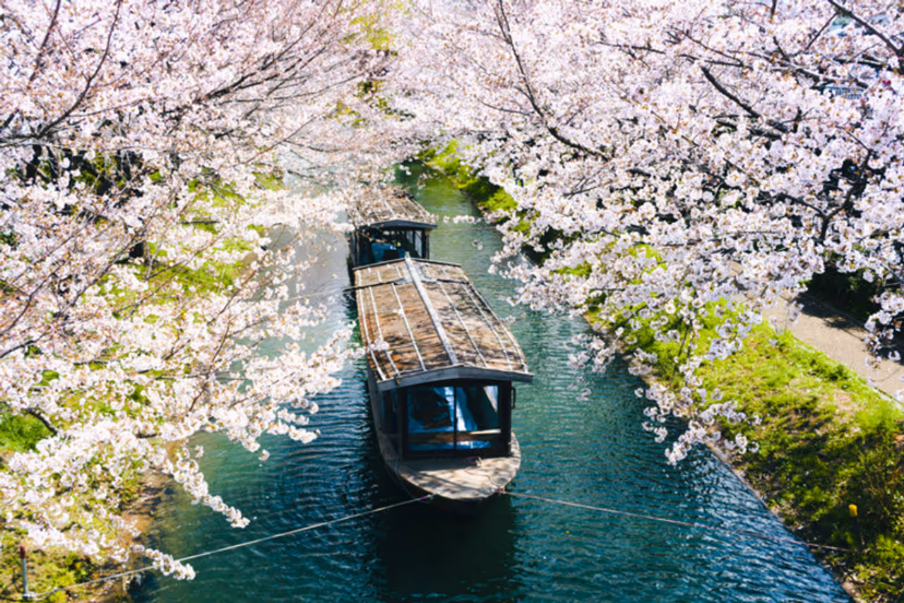 Image credits: Getty stock photo