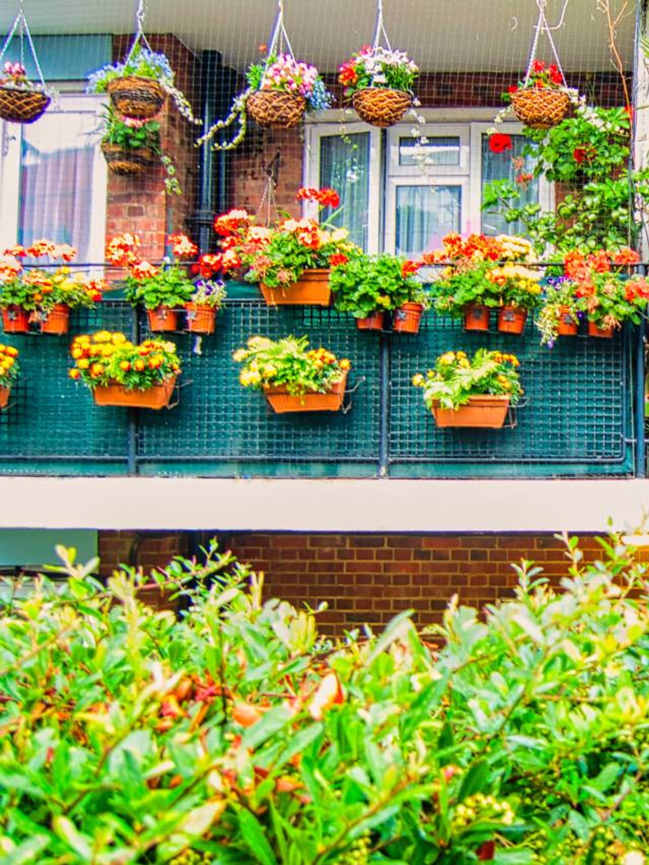 చిన్న బాల్కనీలో మొక్కలు ఎలా పెంచాలి?