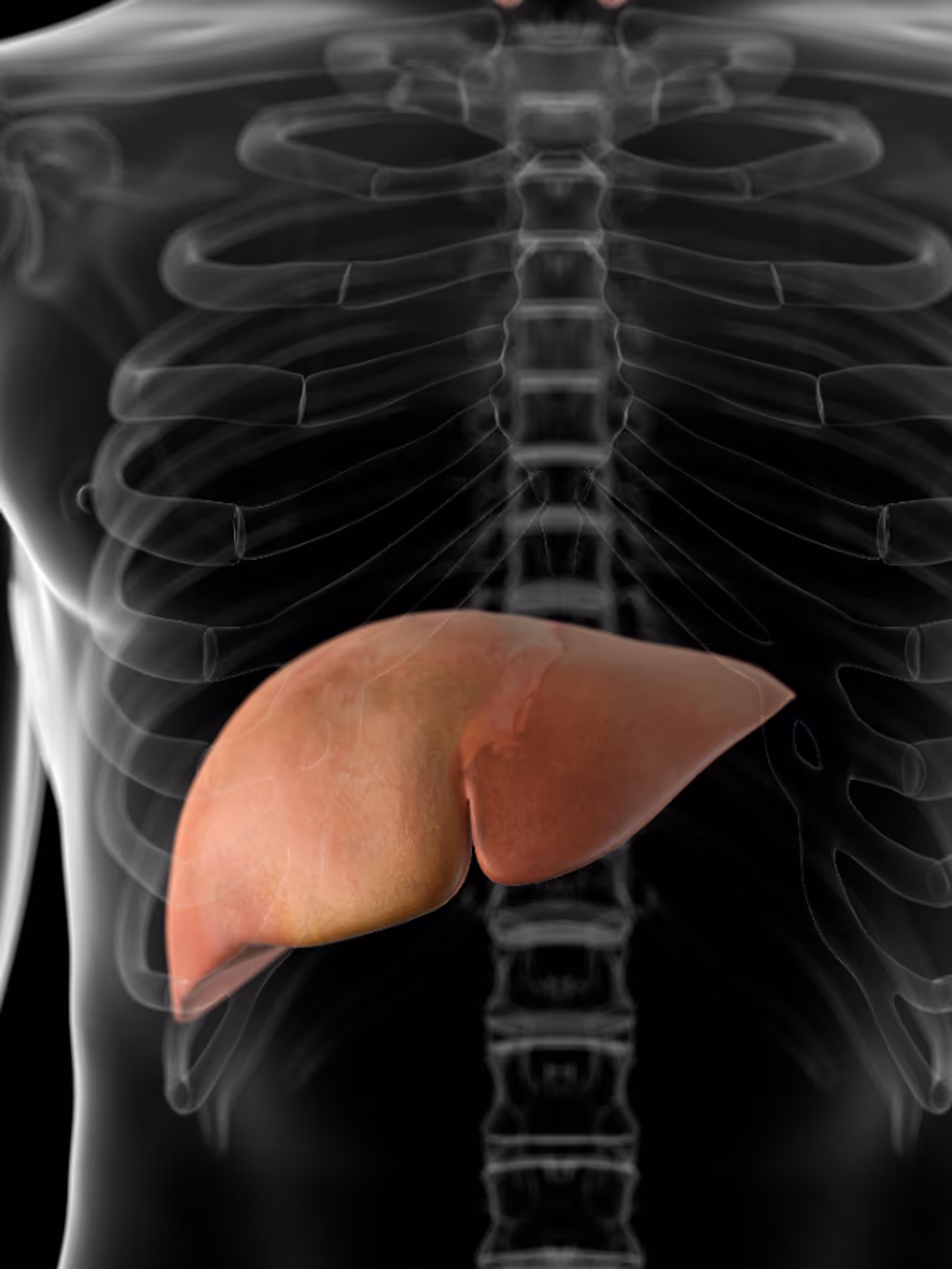 చూడ్డానికి బాగున్నా.? 