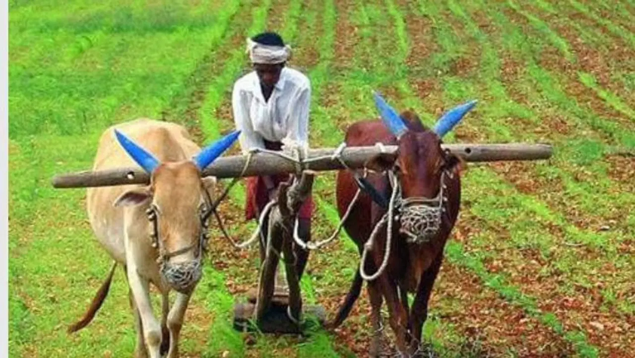 தமிழகத்தில் விவசாய உற்பத்தி