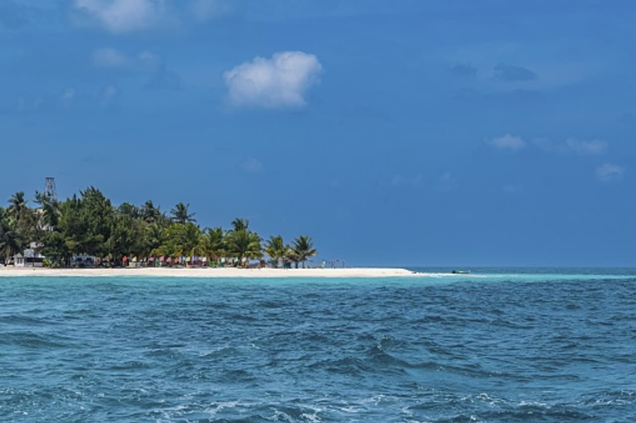 Image Credits: Getty stock image Image Credits: Getty stock image