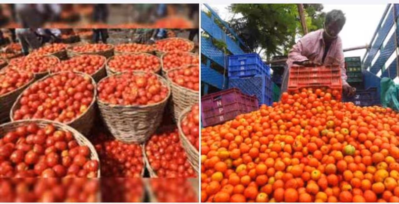 சமையலும் காய்கறிகளும்