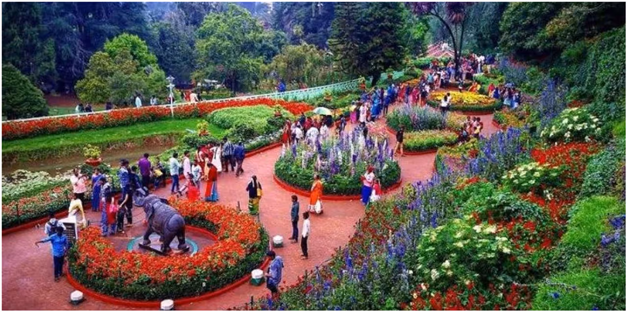 ഊട്ടി ഊട്ടി