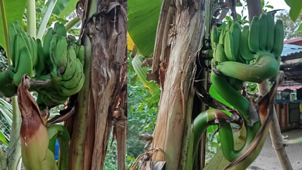 நாகப்பட்டினம் மாவட்டம்