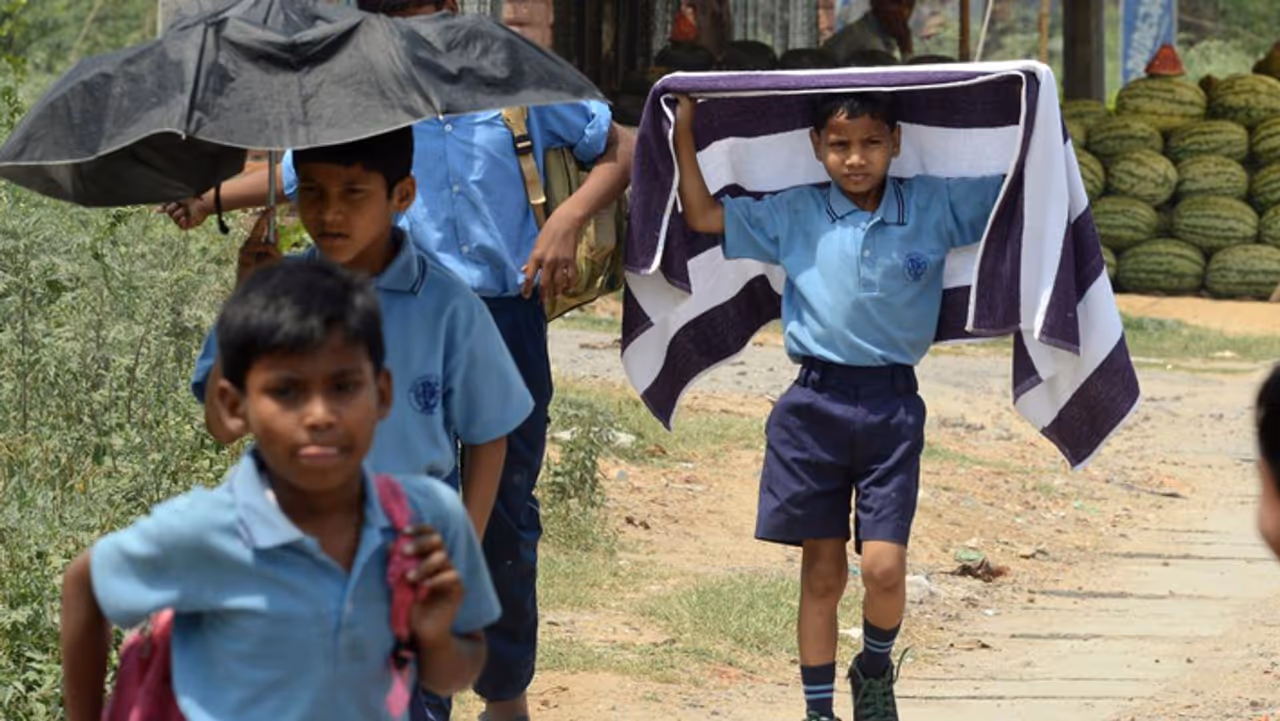 கத்திரியில் மழை