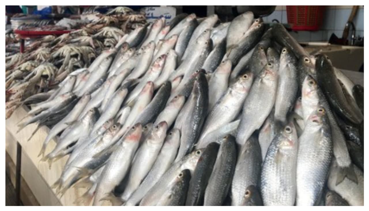 దీర్ఘకాలిక ఊపిరితిత్తుల వ్యాధి దీర్ఘకాలిక ఊపిరితిత్తుల వ్యాధి