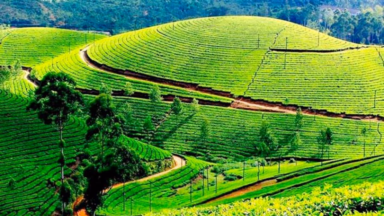 Hill Stations Near Hyderabad