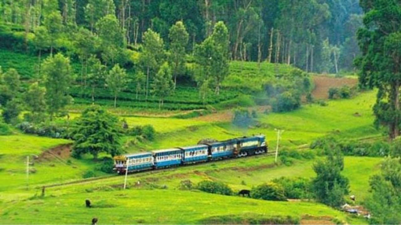 கோடை வெயிலுக்கு சுற்றுலா