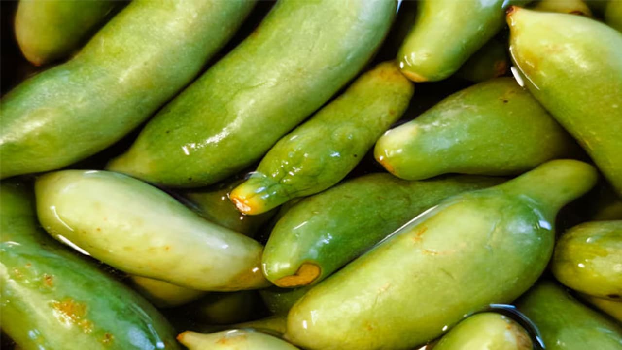 health benefits of ivy gourd