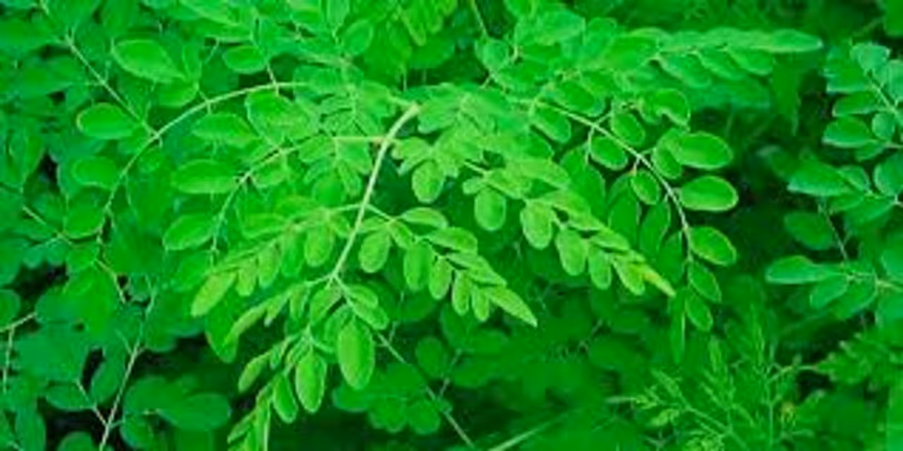 উদ্বেগ বাড়াচ্ছে করোনা সংক্রমণ 