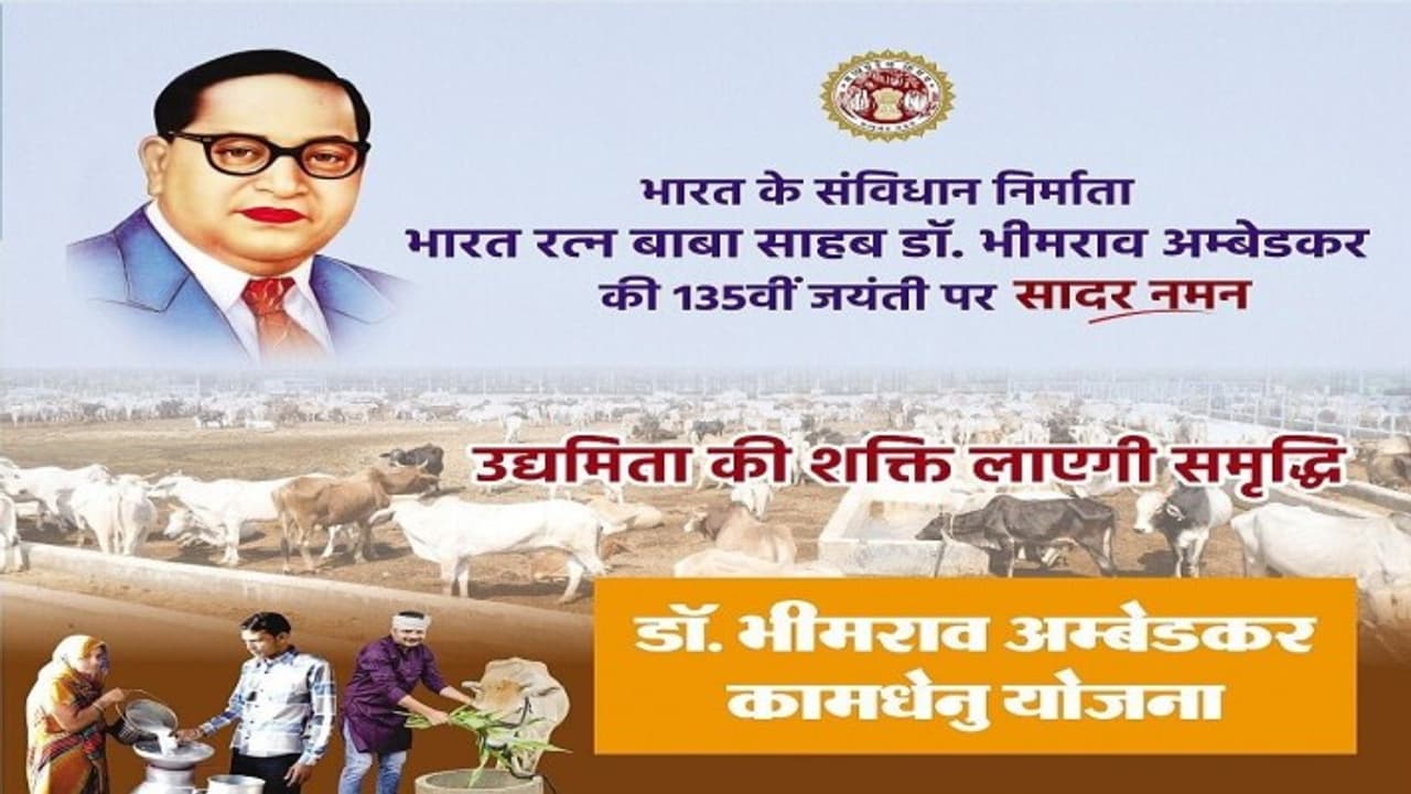 MP में डेयरी यूनिट खोलने वालों को मिलेगा करोड़ों का मौका! MP में डेयरी यूनिट खोलने वालों को मिलेगा करोड़ों का मौका!