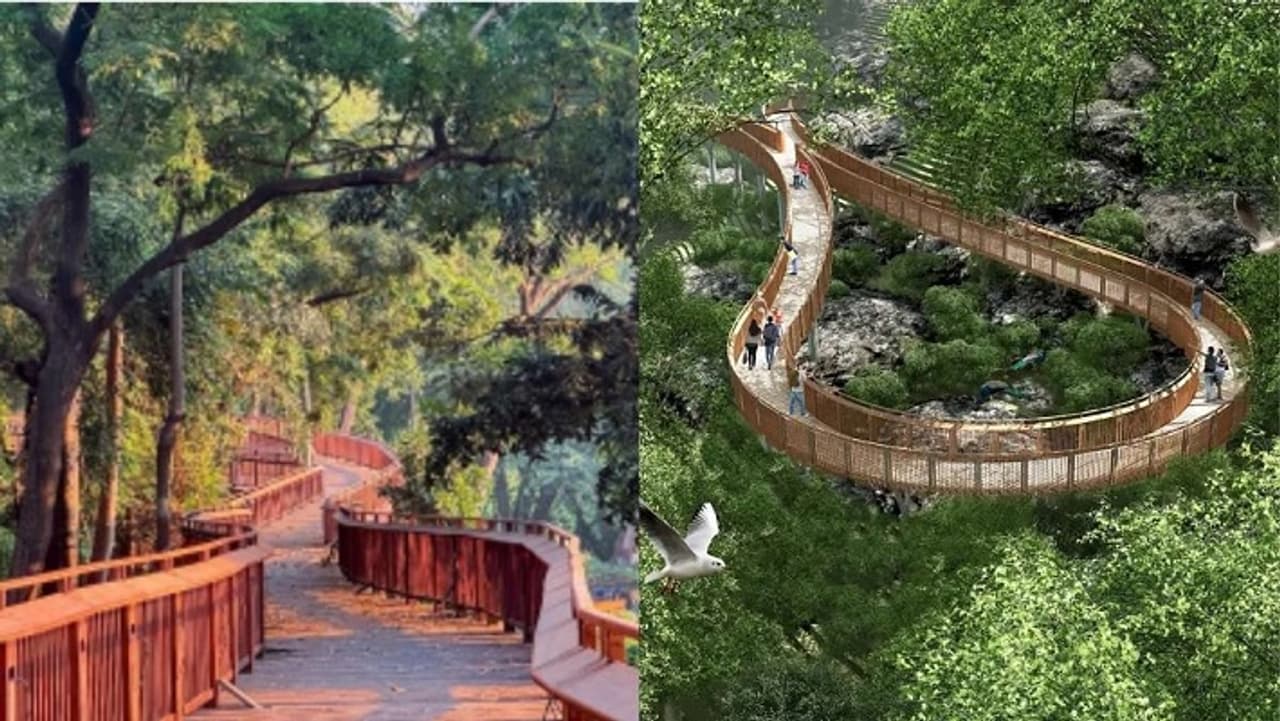 705 meter Nature Bridge: Kamala Nehru Park to Doongerwadi Woods