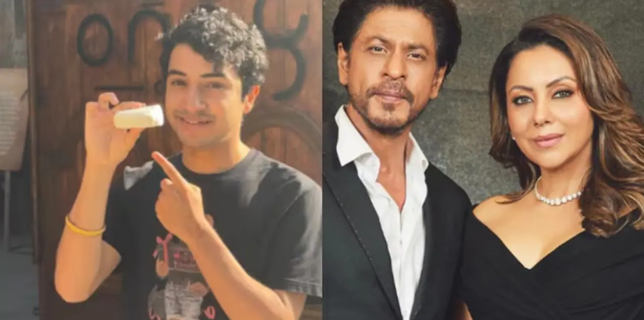 YouTuber claims fake paneer served at Gauri Khan restaurant