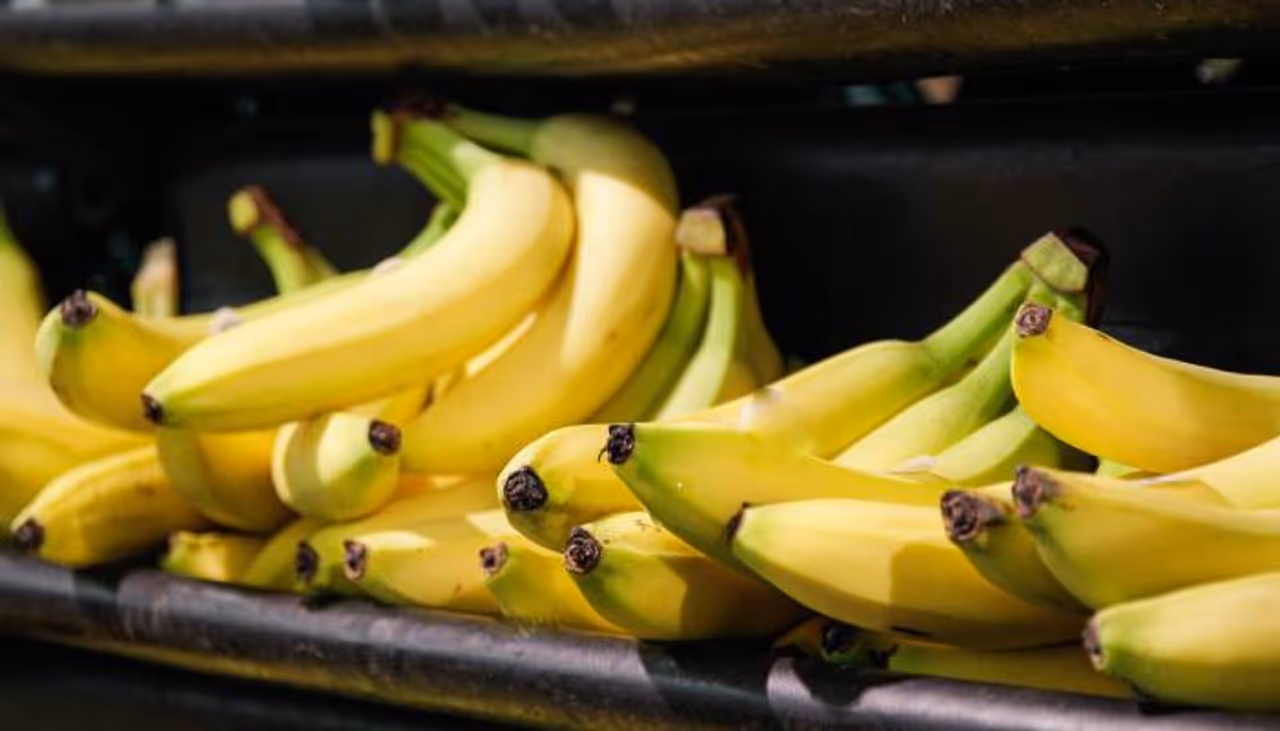 ಬಾಳೆಹಣ್ಣು (Banana)