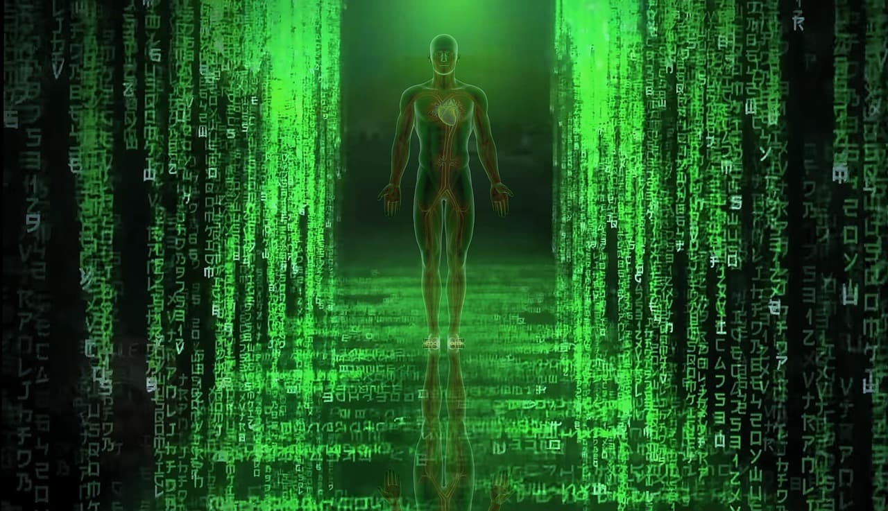 Universe the ultimate computer?