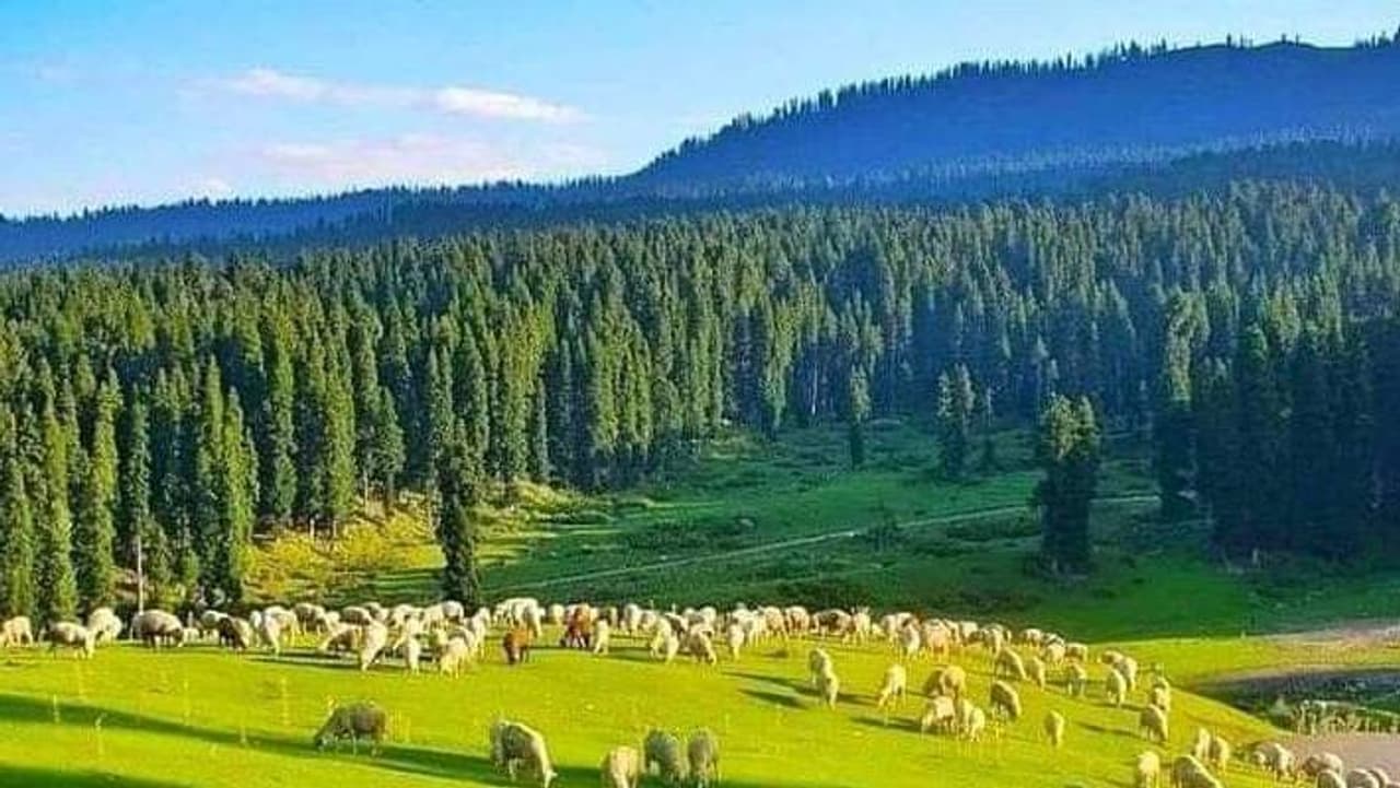 কাশ্মীরের সৌন্দর্য সব ঋতুতেই অটুট 