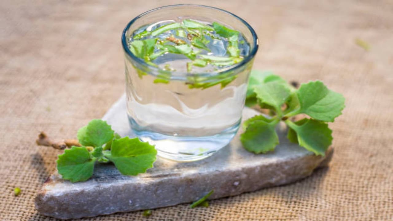 ஓம வாட்டர் (Ajwain Water): செரிமானத்திற்கு ஒரு சிறந்த மருந்து