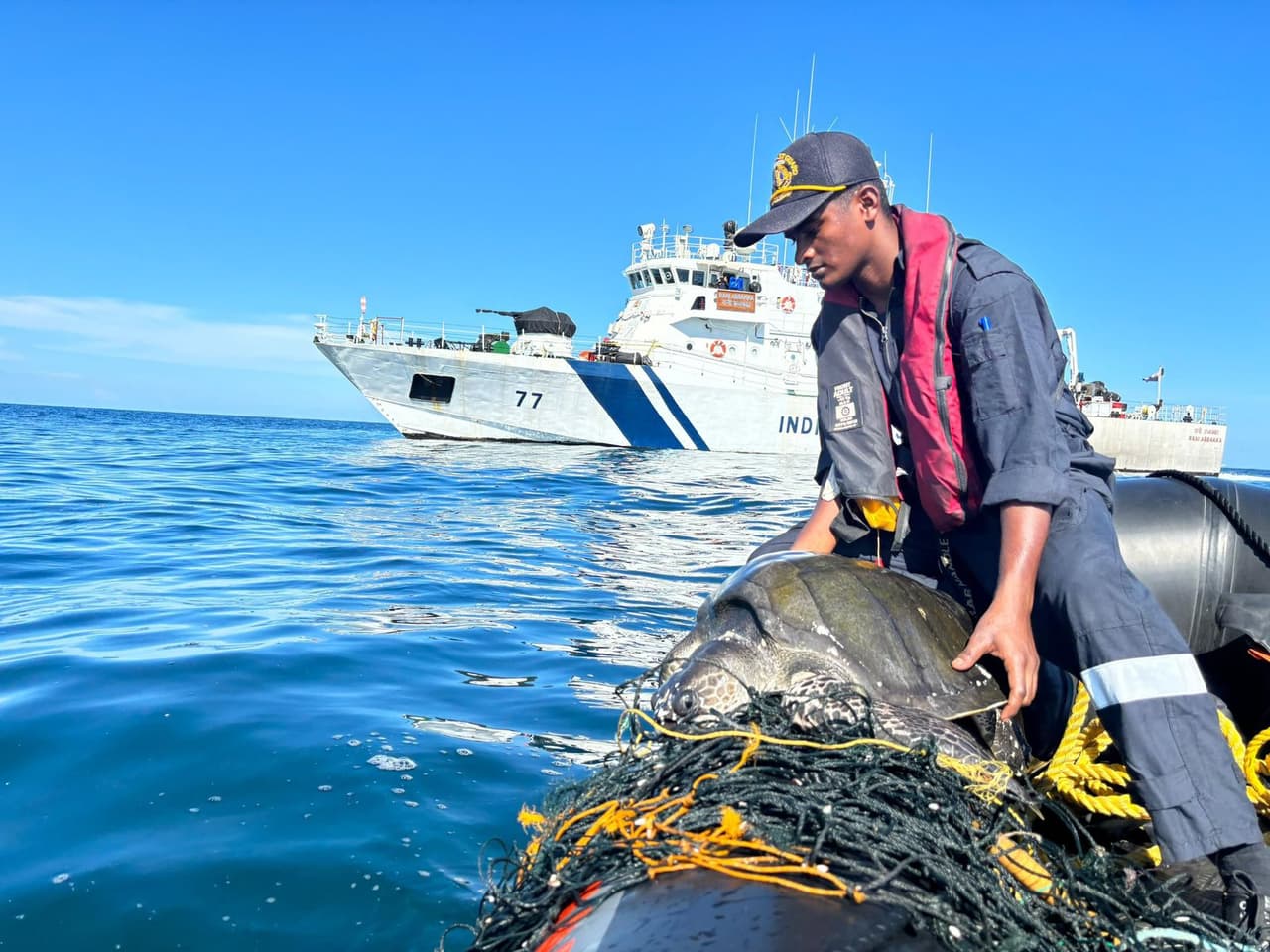 ఓలివ్ రిడ్లీ తాబేళ్ల రక్షణకు భారత కోస్ట్ గార్డ్ ‘ఆపరేషన్ ఒలీవియా’ ఓలివ్ రిడ్లీ తాబేళ్ల రక్షణకు భారత కోస్ట్ గార్డ్ ‘ఆపరేషన్ ఒలీవియా’