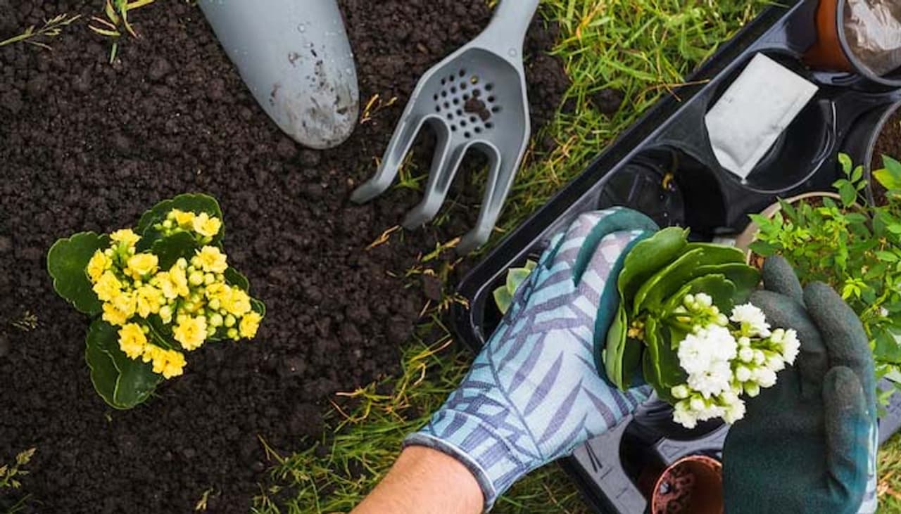 3 DIY Guides to Make Homemade Fertilizers